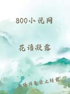 800小说网